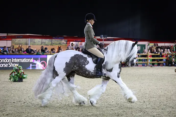 LIHS-2026-Timetable-Banners