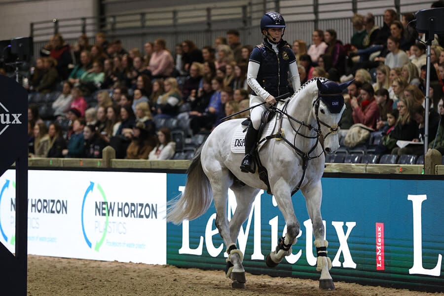 LIHS Tickets Pix-NHP1-Arena-crop