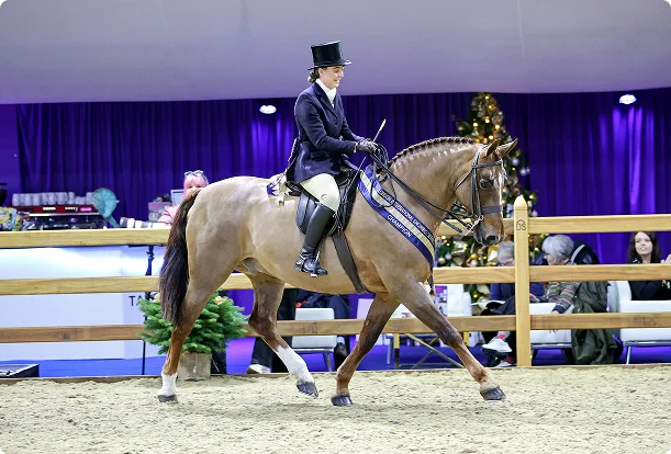 Showing Series Image