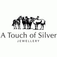 A Touch of Silver