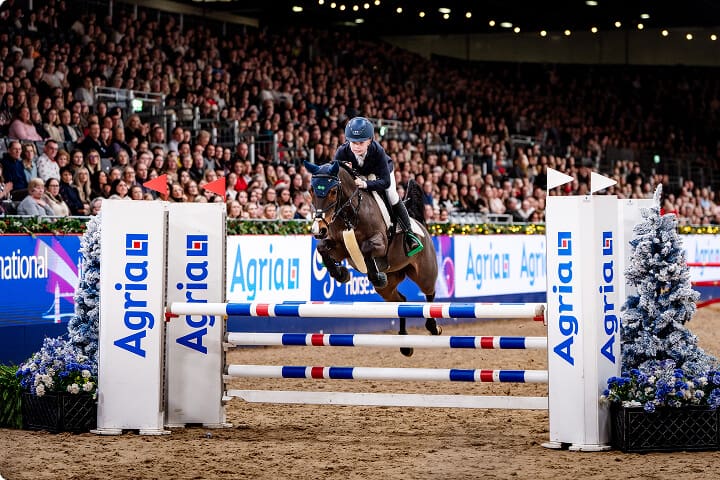 img - Horse and rider in mid-air