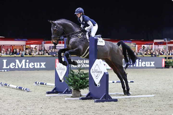 img - LeMieux Masterclass_Perfect Polework_PN35213