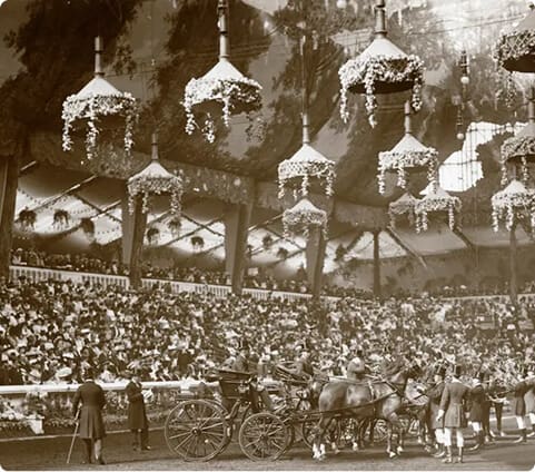 img - Over a Century of Magic