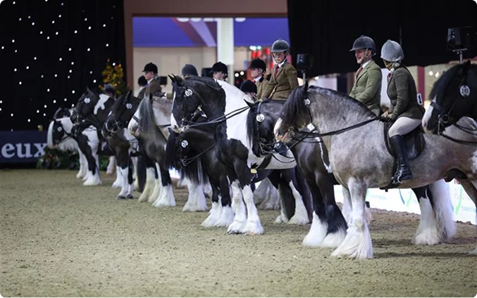 img - Several individuals riding horses in an arena