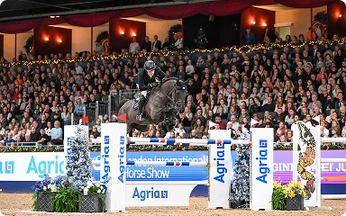 img - horse and rider gracefully jump over an obstacle