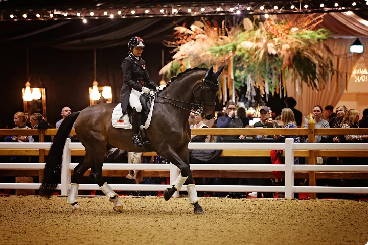 img - woman riding a horse in an arena